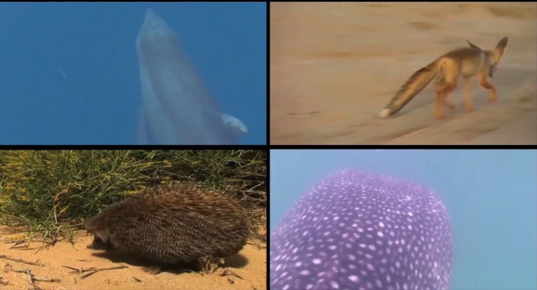 九游会·J9-官方网站|真人集团游戏品牌