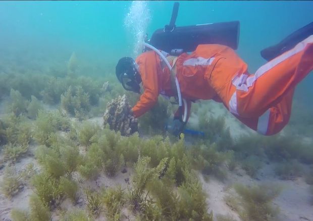 九游会·J9-官方网站|真人集团游戏品牌