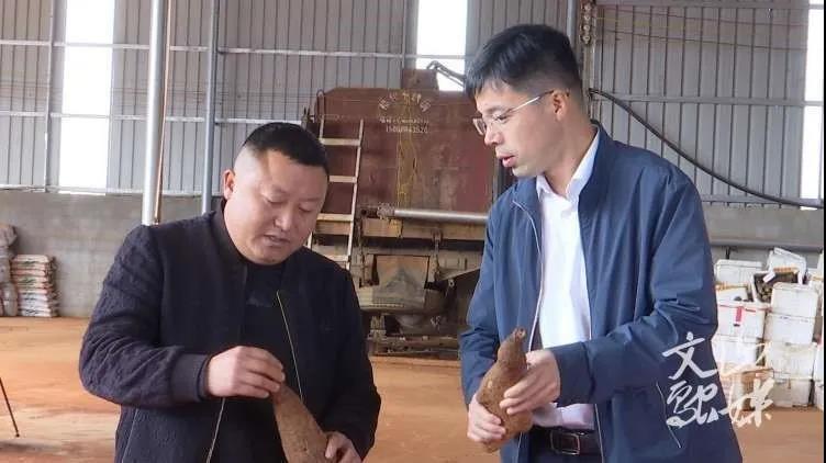 九游会·J9-官方网站|真人集团游戏品牌