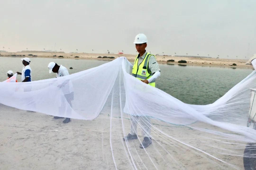 九游会·J9-官方网站|真人集团游戏品牌