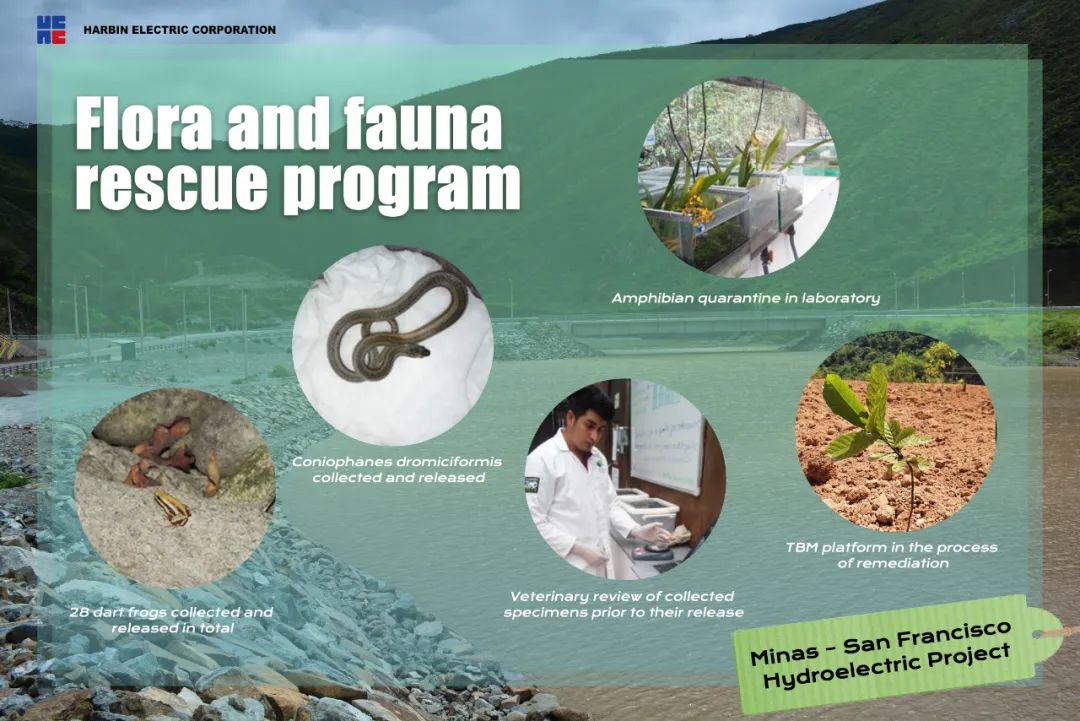 九游会·J9-官方网站|真人集团游戏品牌