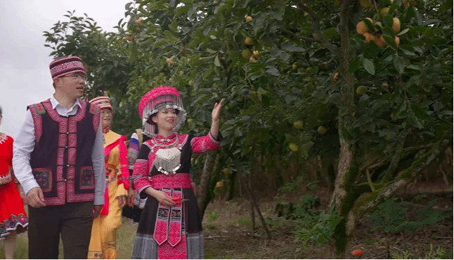 九游会·J9-官方网站|真人集团游戏品牌