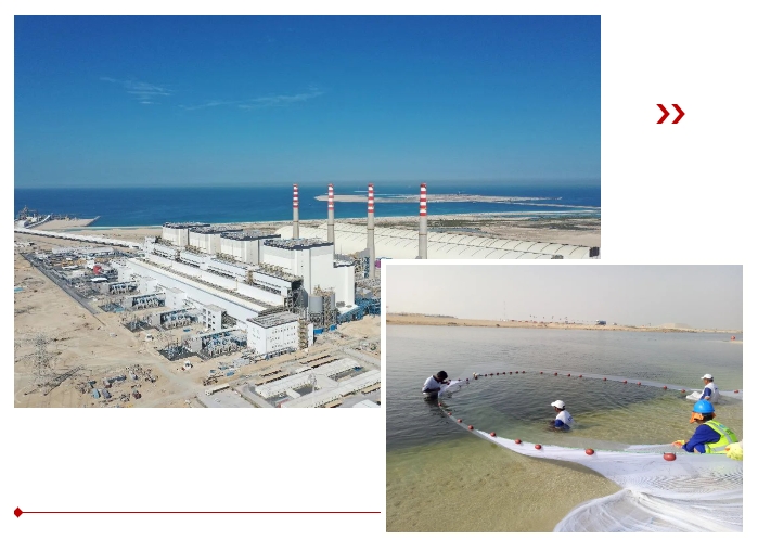 九游会·J9-官方网站|真人集团游戏品牌