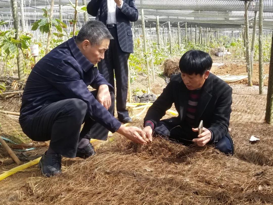 九游会·J9-官方网站|真人集团游戏品牌