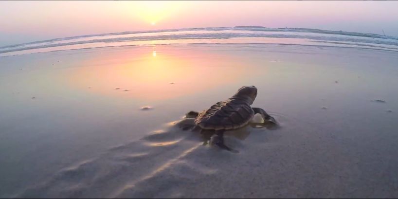 九游会·J9-官方网站|真人集团游戏品牌