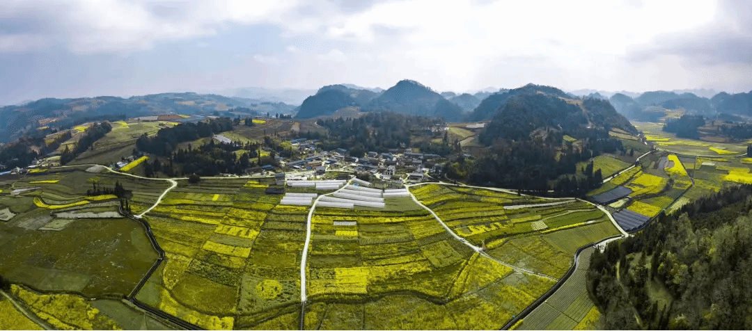 九游会·J9-官方网站|真人集团游戏品牌