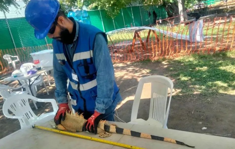 九游会·J9-官方网站|真人集团游戏品牌