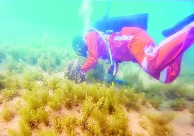 九游会·J9-官方网站|真人集团游戏品牌