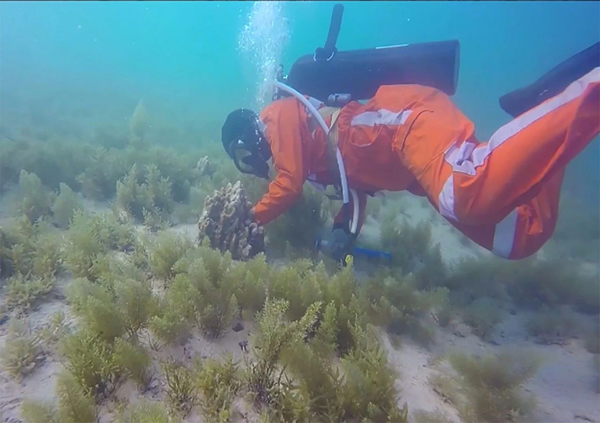 九游会·J9-官方网站|真人集团游戏品牌