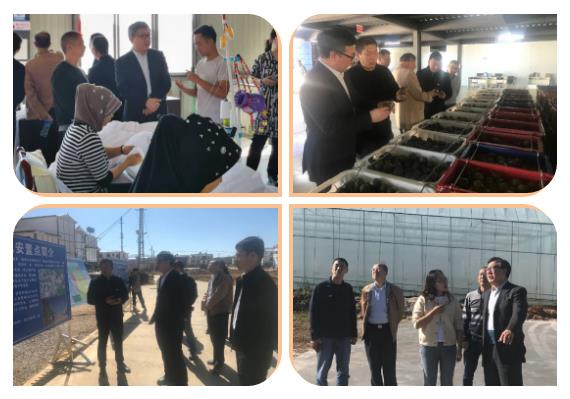 九游会·J9-官方网站|真人集团游戏品牌