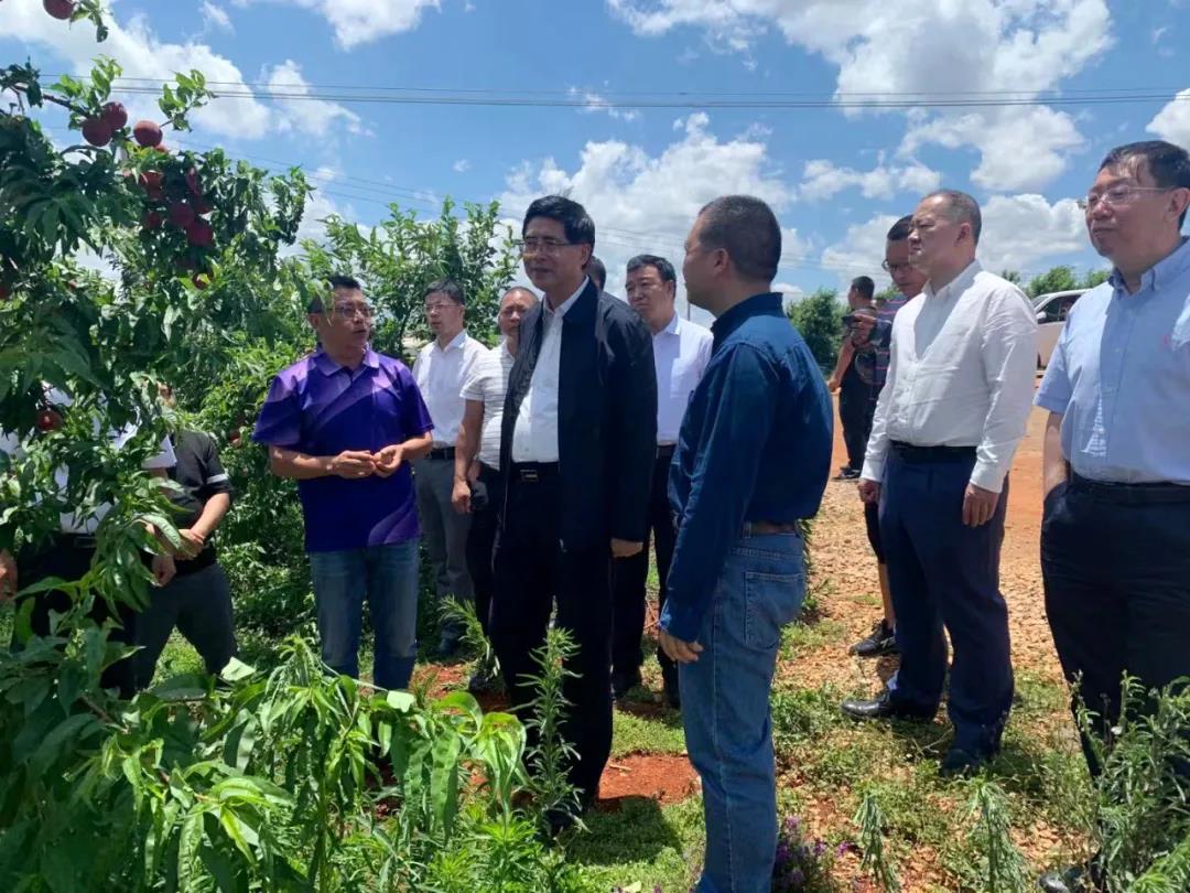 九游会·J9-官方网站|真人集团游戏品牌