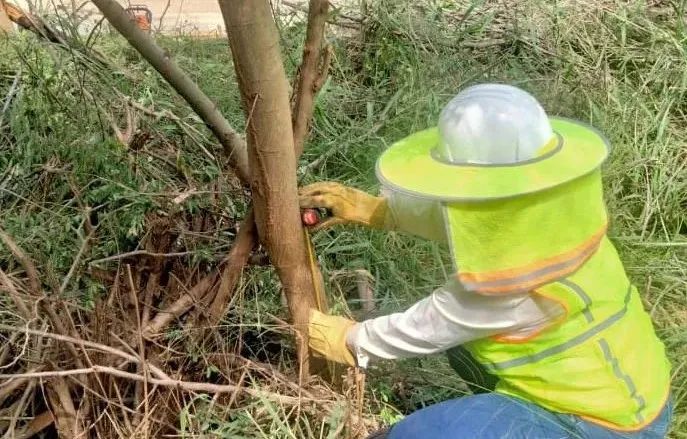 九游会·J9-官方网站|真人集团游戏品牌