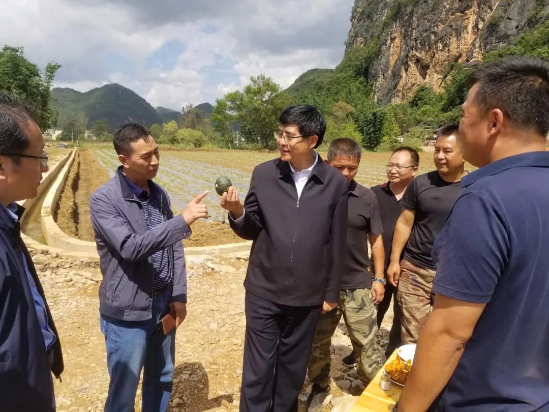 九游会·J9-官方网站|真人集团游戏品牌