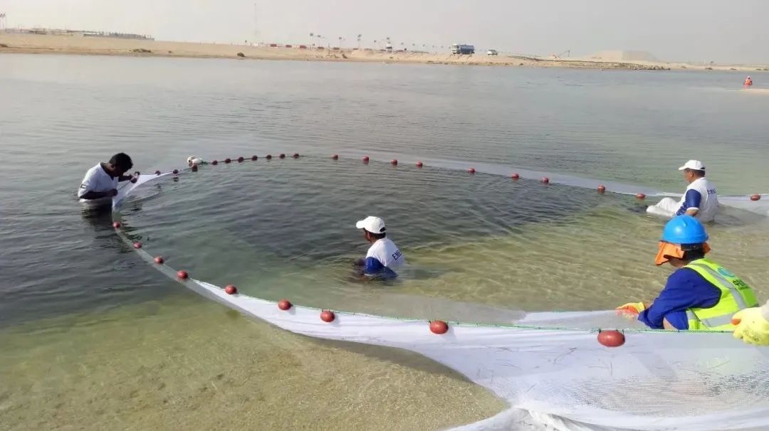 九游会·J9-官方网站|真人集团游戏品牌