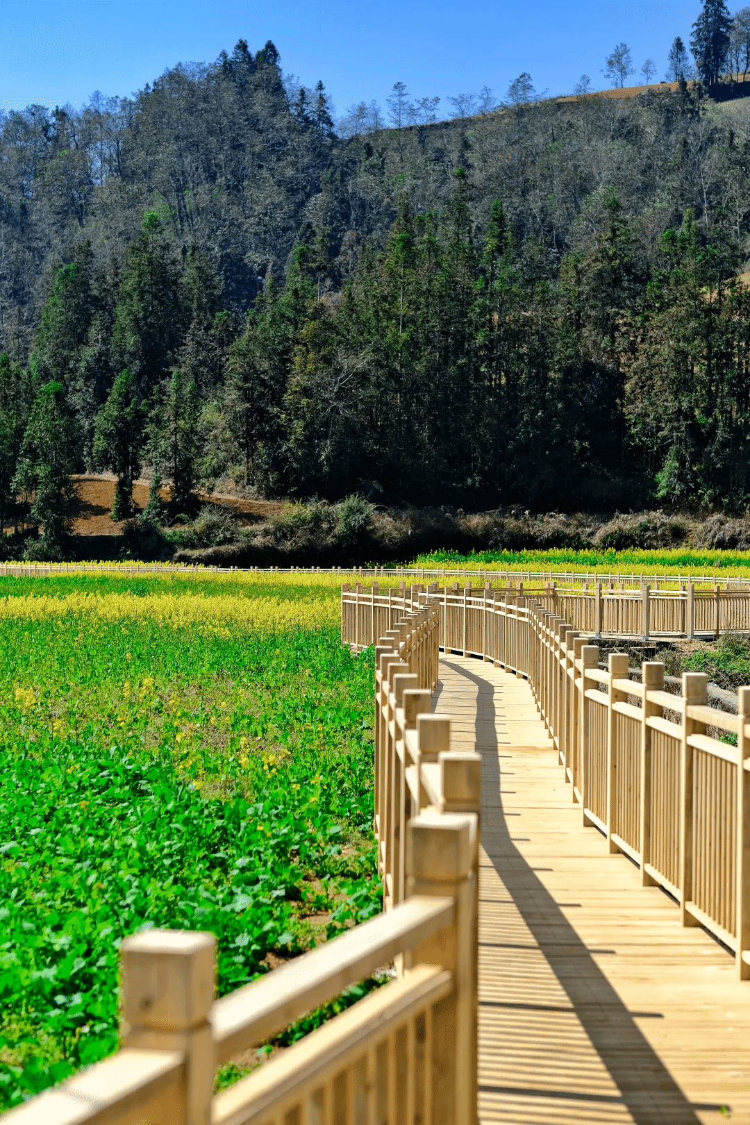 九游会·J9-官方网站|真人集团游戏品牌