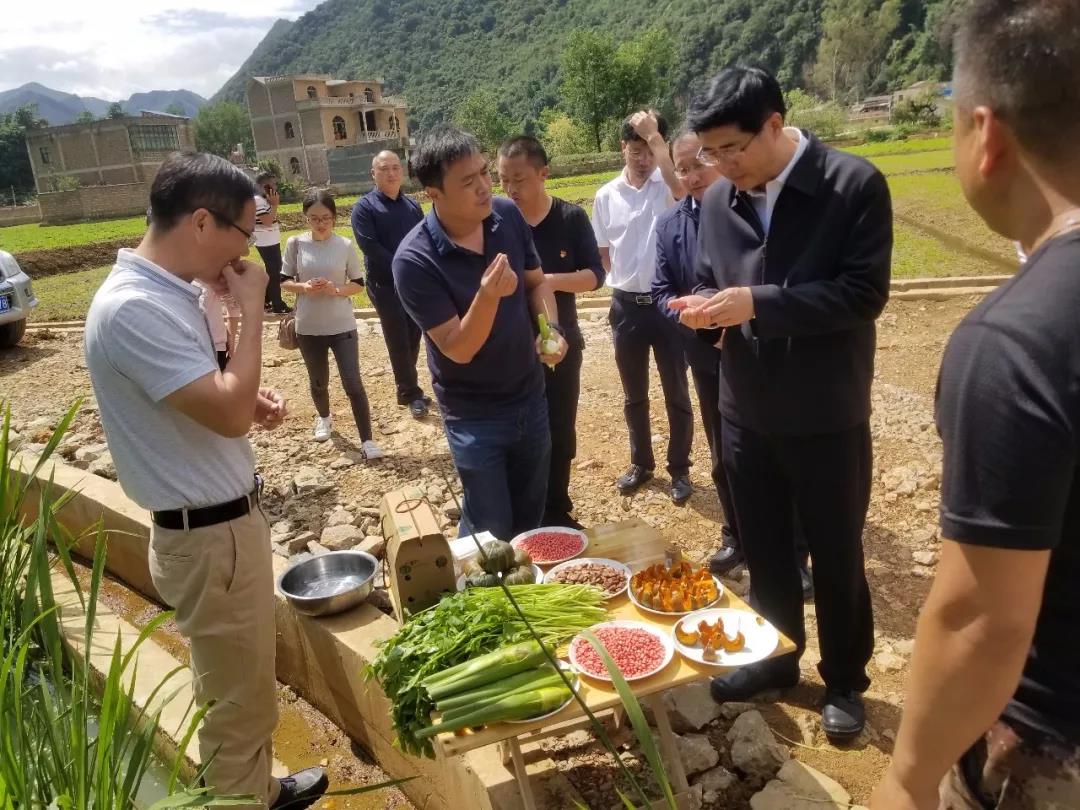 九游会·J9-官方网站|真人集团游戏品牌