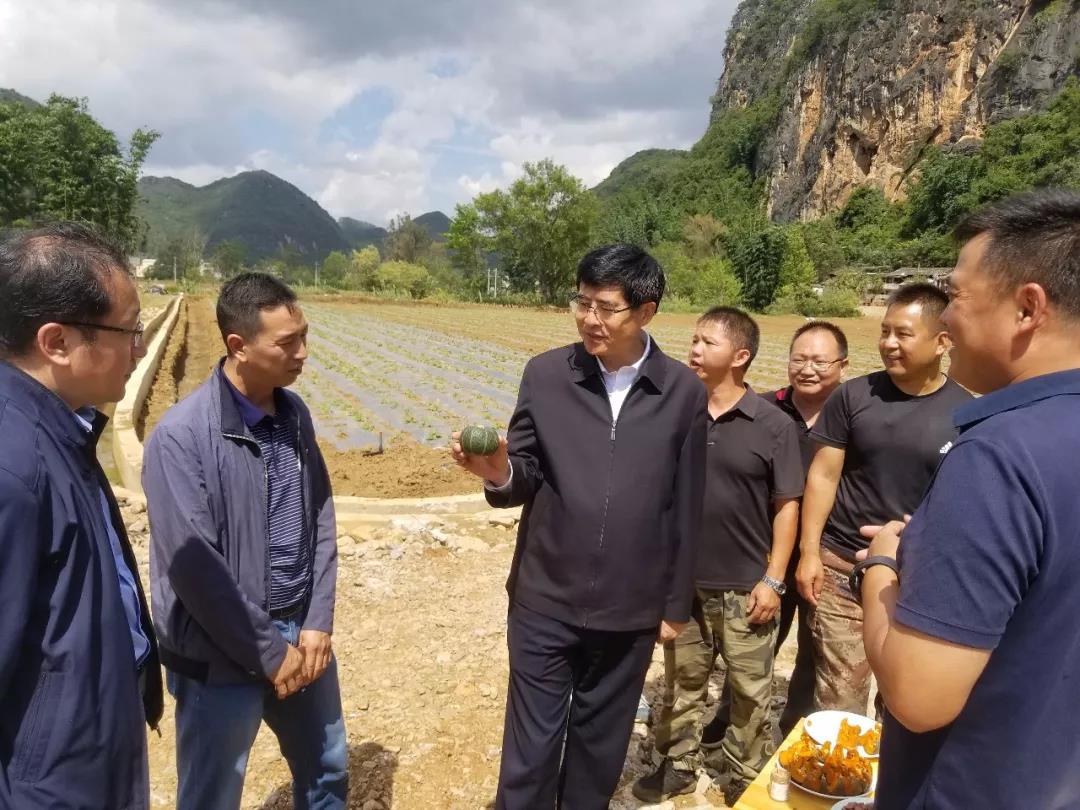 九游会·J9-官方网站|真人集团游戏品牌