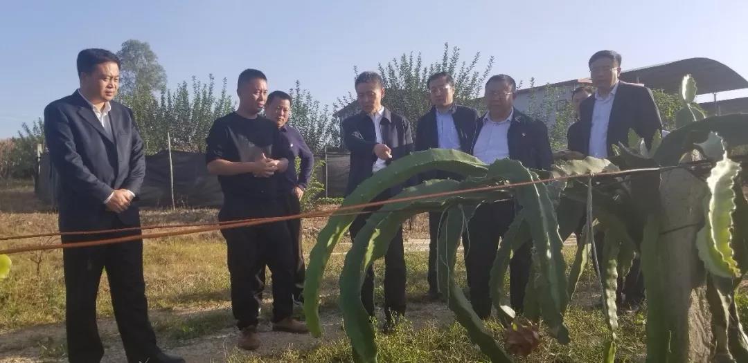 九游会·J9-官方网站|真人集团游戏品牌