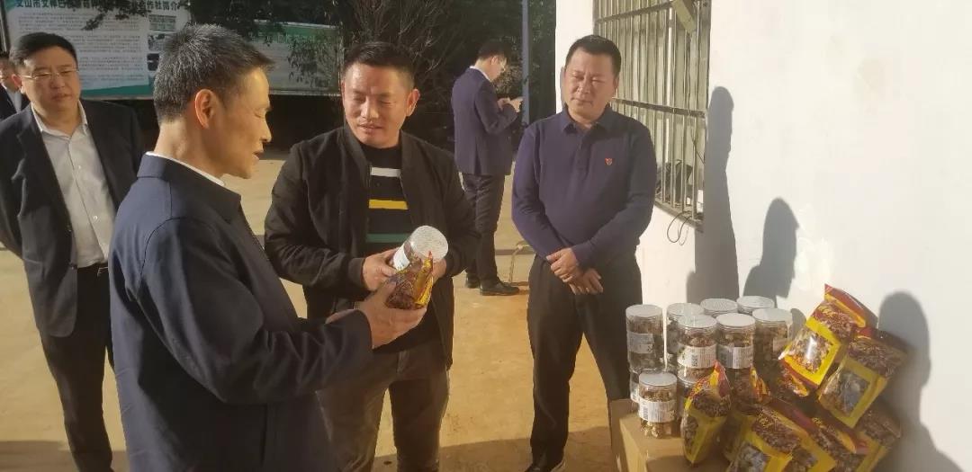 九游会·J9-官方网站|真人集团游戏品牌