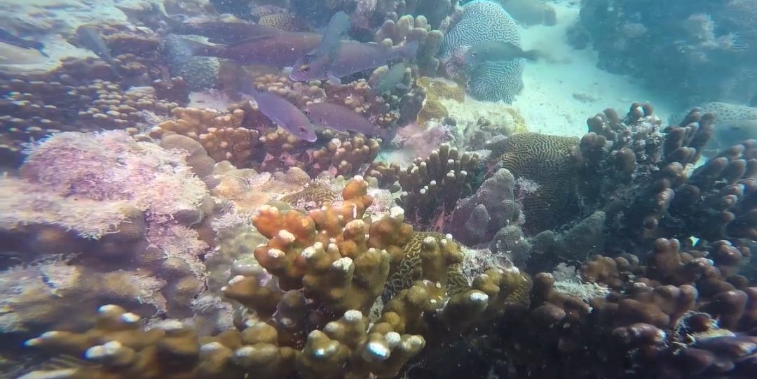 九游会·J9-官方网站|真人集团游戏品牌