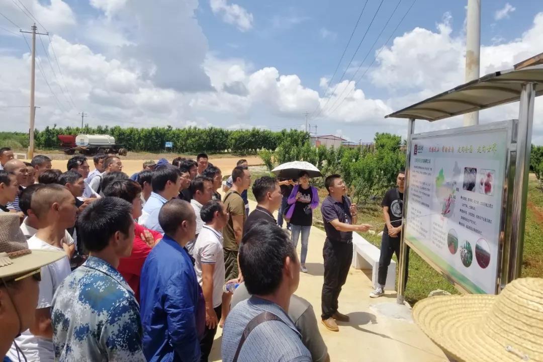 九游会·J9-官方网站|真人集团游戏品牌