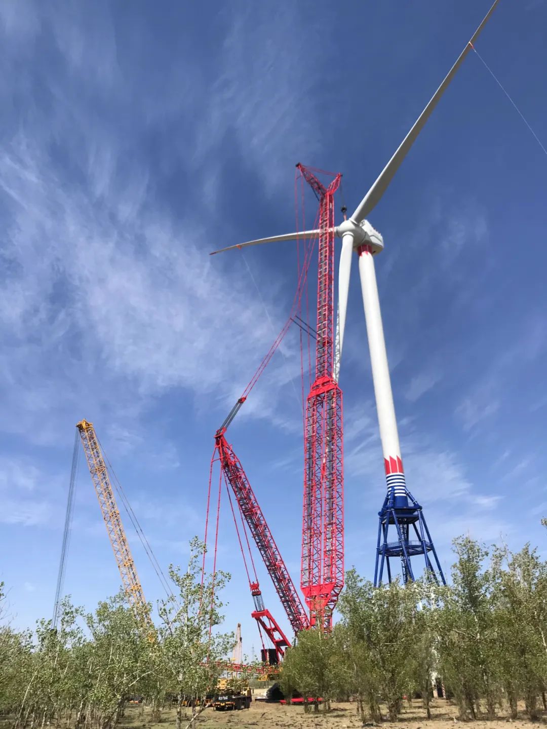 九游会·J9-官方网站|真人集团游戏品牌