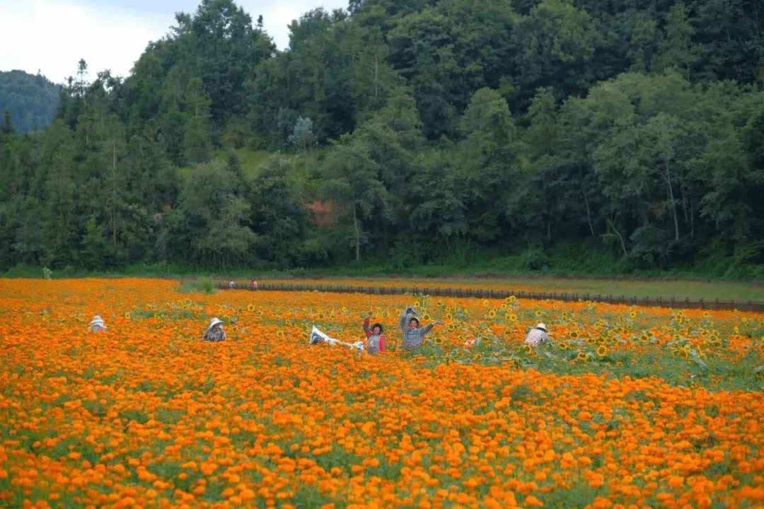 九游会·J9-官方网站|真人集团游戏品牌