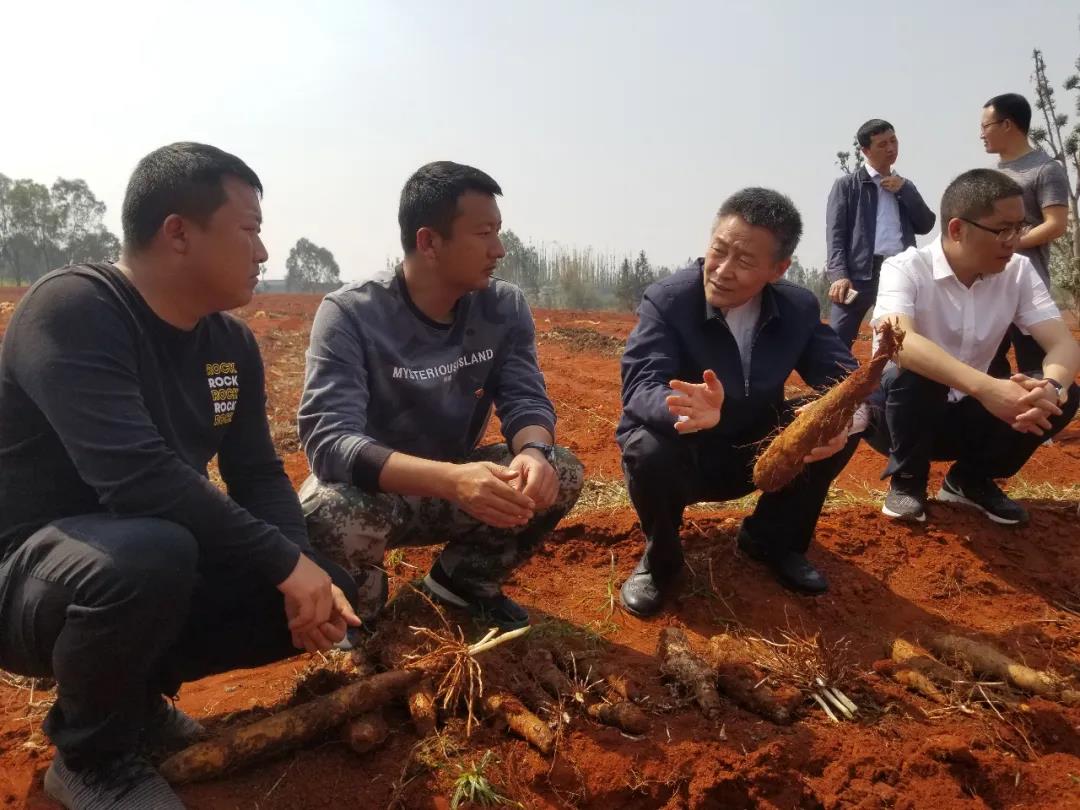 九游会·J9-官方网站|真人集团游戏品牌