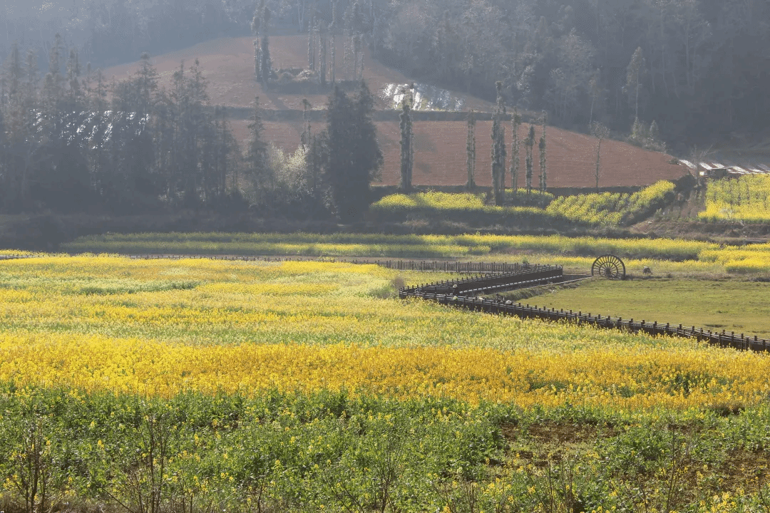 九游会·J9-官方网站|真人集团游戏品牌