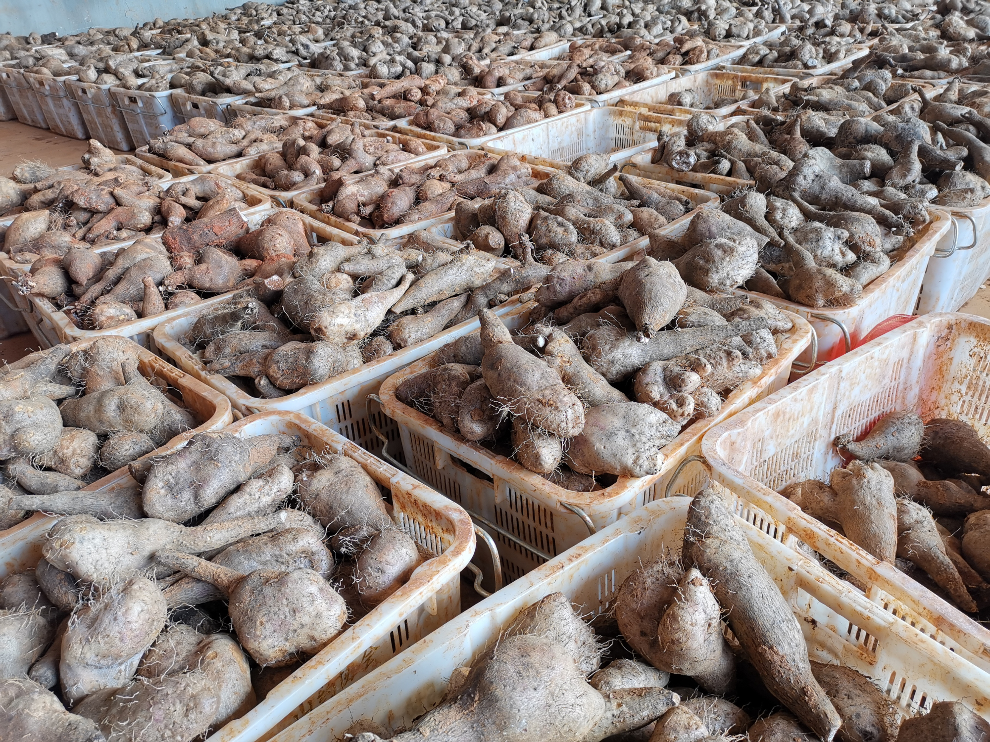 九游会·J9-官方网站|真人集团游戏品牌