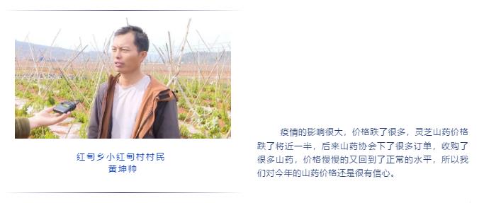 九游会·J9-官方网站|真人集团游戏品牌